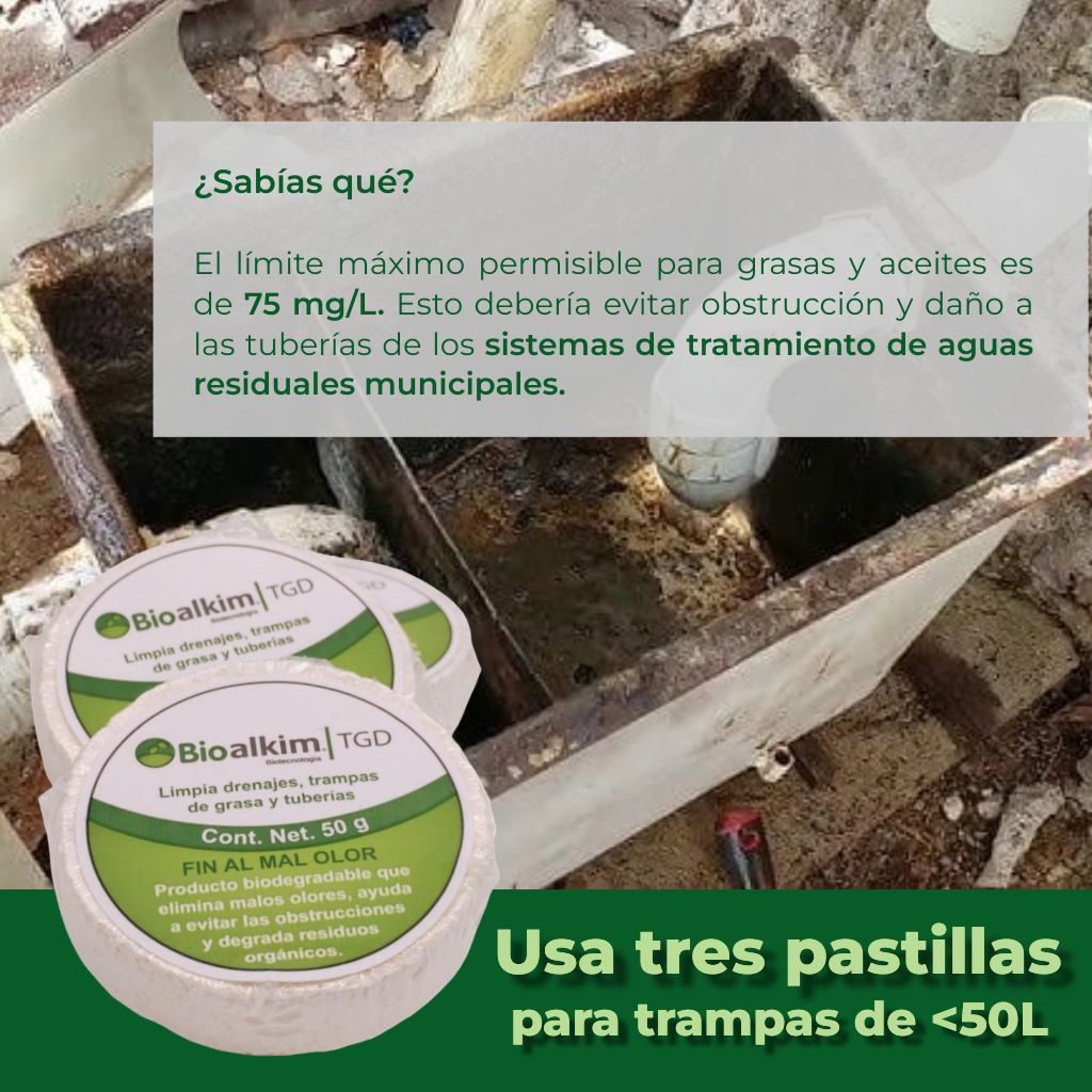 Pastillas Bioalkim 50g - Tratamiento Biológico para Trampas de Grasa y Fosas Sépticas