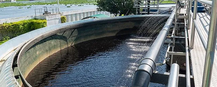 El rol fundamental de las bacterias en la depuración del agua: una perspectiva profesional